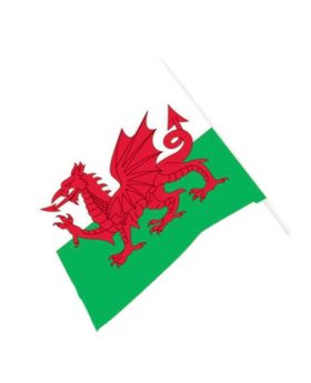 Wales Waving Flag 90cm x 60cm