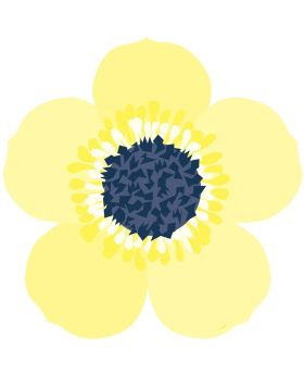 Flower Shaped Paper Placemats, pk8