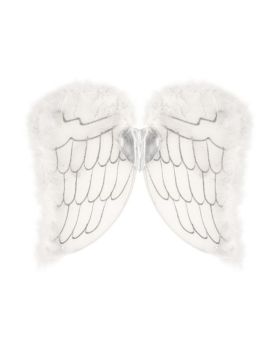Child Angel Wings