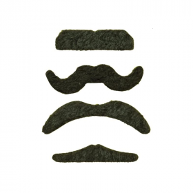 4 Assorted Moustaches