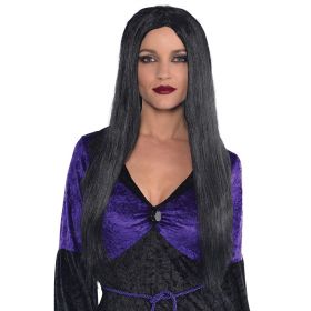Adults Black Wig Witch