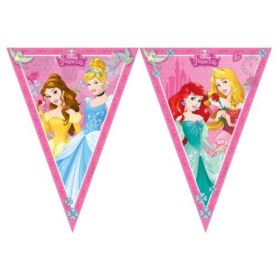 Disney Princess Flag Banner