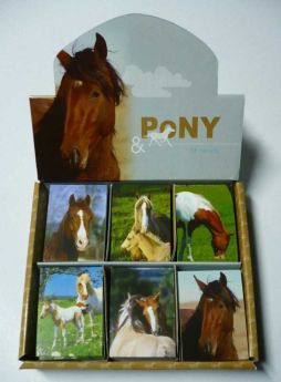 Horse Notebook 