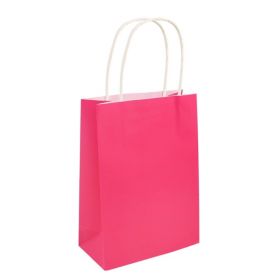 Hot Pink Paper Party Bag