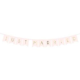 Blush Pink Just Married Ribbon Banner