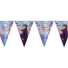 Disney Frozen 2 Party Flag Banner 2.3m