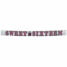 Sweet 16 Sparkle Glitter Fringe Banner