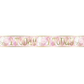 Pink Gingham 1st Birthday Party Foil Banner 3.65m