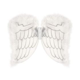 Child Angel Wings