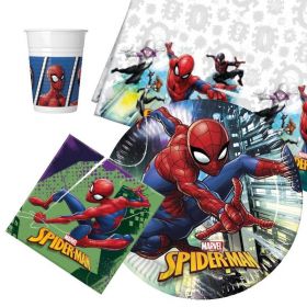 Spiderman Tableware Party Pack