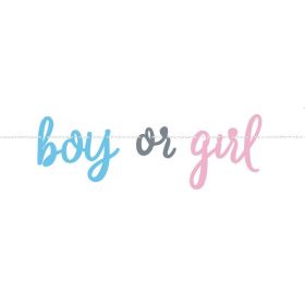 Gender Reveal Party Banner 2m