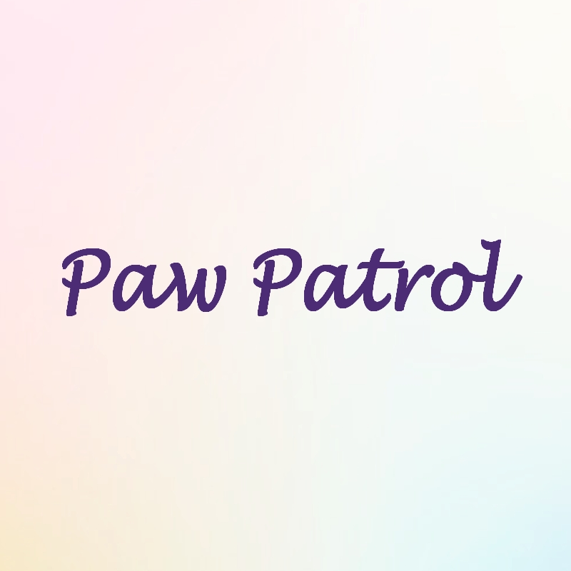 Paw Patrol Party Bags